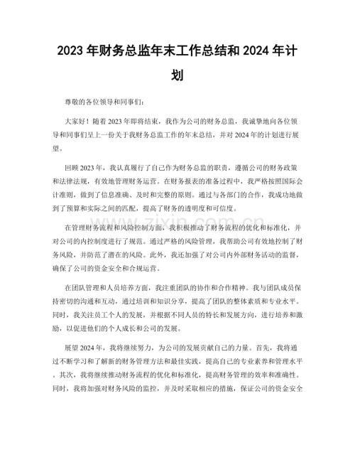 2023年财务总监年末工作总结和2024年计划.docx