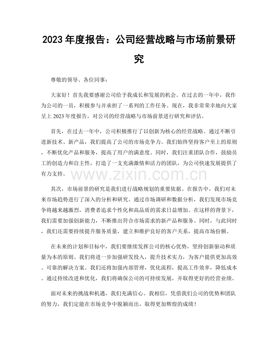 2023年度报告：公司经营战略与市场前景研究.docx_第1页