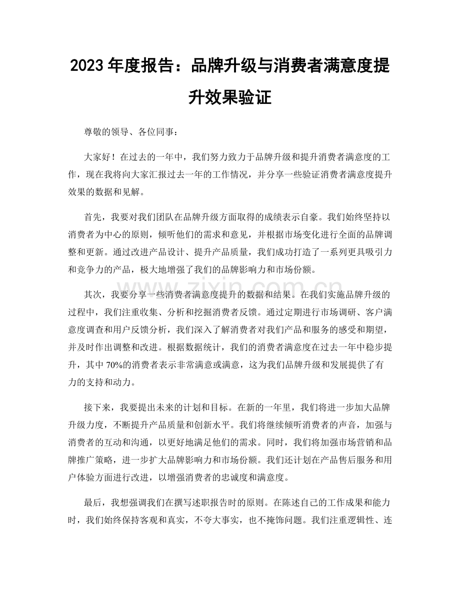 2023年度报告：品牌升级与消费者满意度提升效果验证.docx_第1页