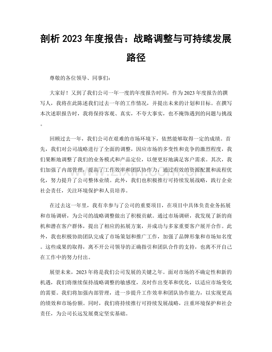 剖析2023年度报告：战略调整与可持续发展路径.docx_第1页