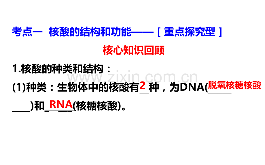 2018高三生物一轮复习核酸、糖类和脂质.ppt_第2页