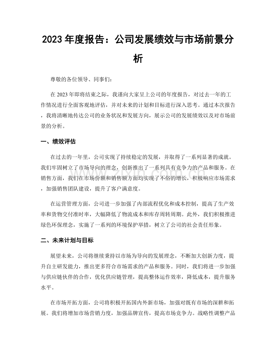 2023年度报告：公司发展绩效与市场前景分析.docx_第1页