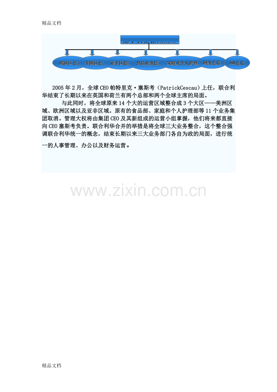 联合利华组织结构教学文案.doc_第3页