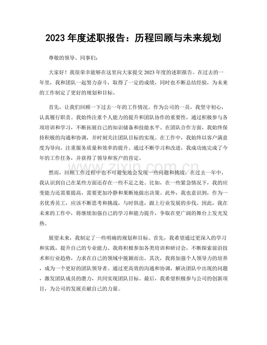 2023年度述职报告：历程回顾与未来规划.docx_第1页