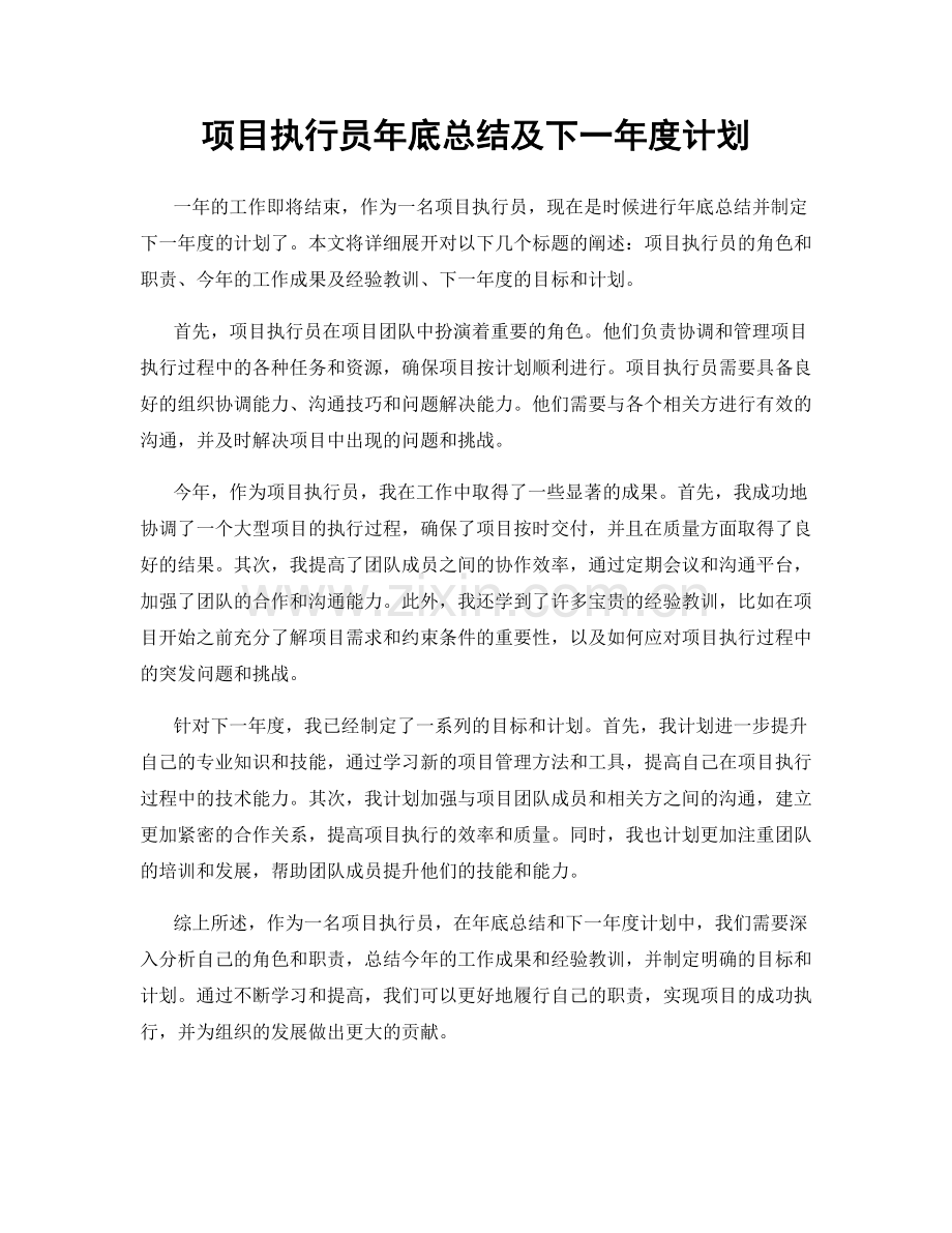 项目执行员年底总结及下一年度计划.docx_第1页