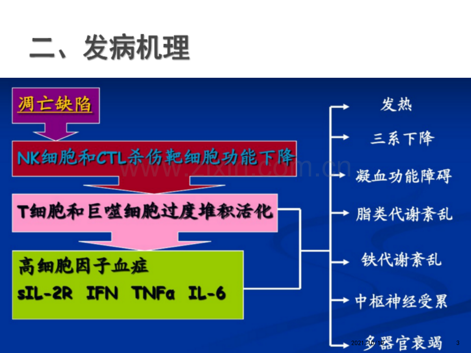 嗜血细胞综合征诊治中国专家共识2018.ppt_第3页