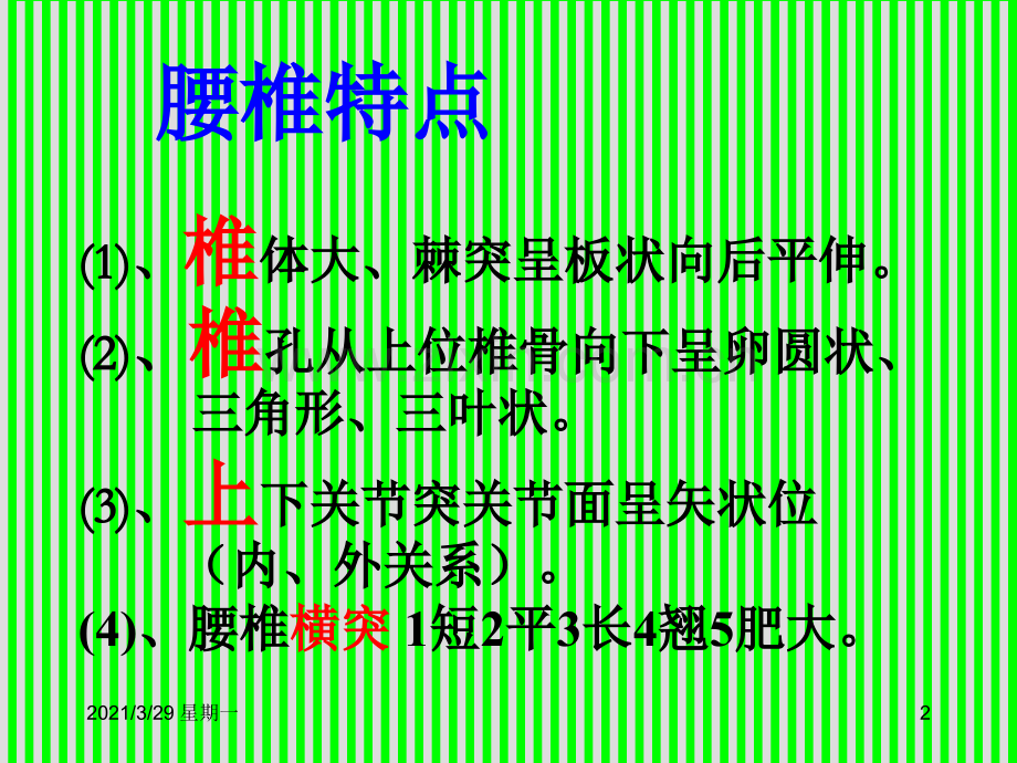 腰椎解剖应用.ppt_第2页