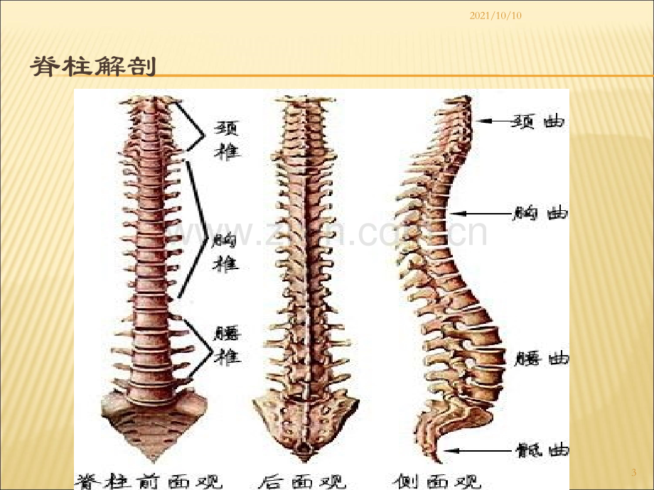 经皮椎体成形术的护理.ppt_第3页