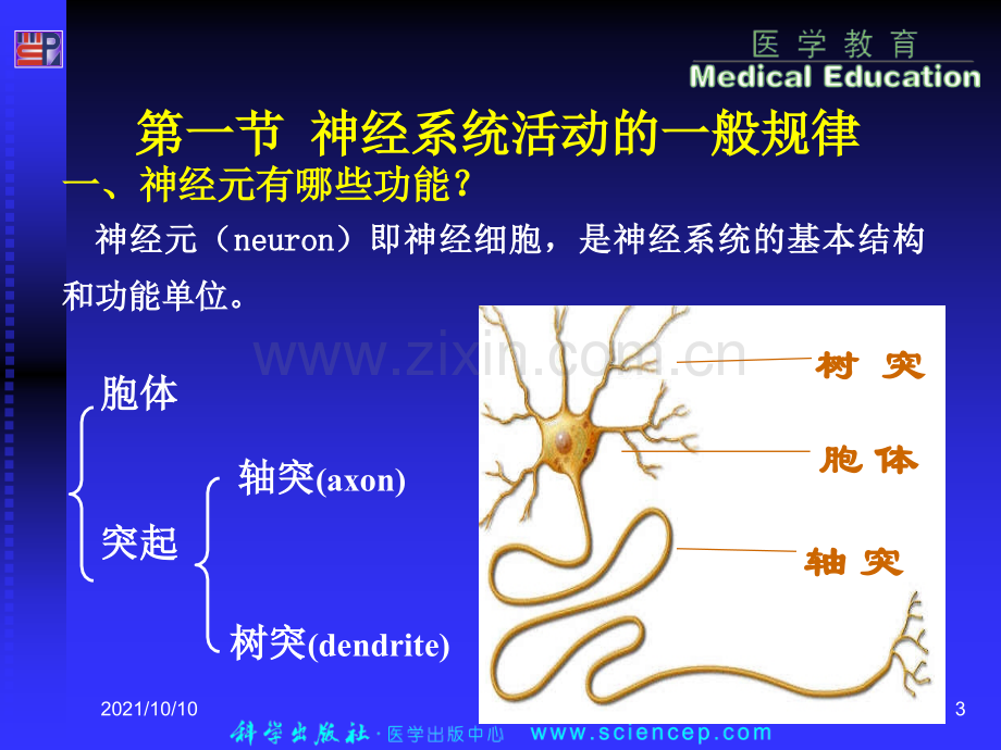 06-1-3-4神经系统-生理学.ppt_第3页