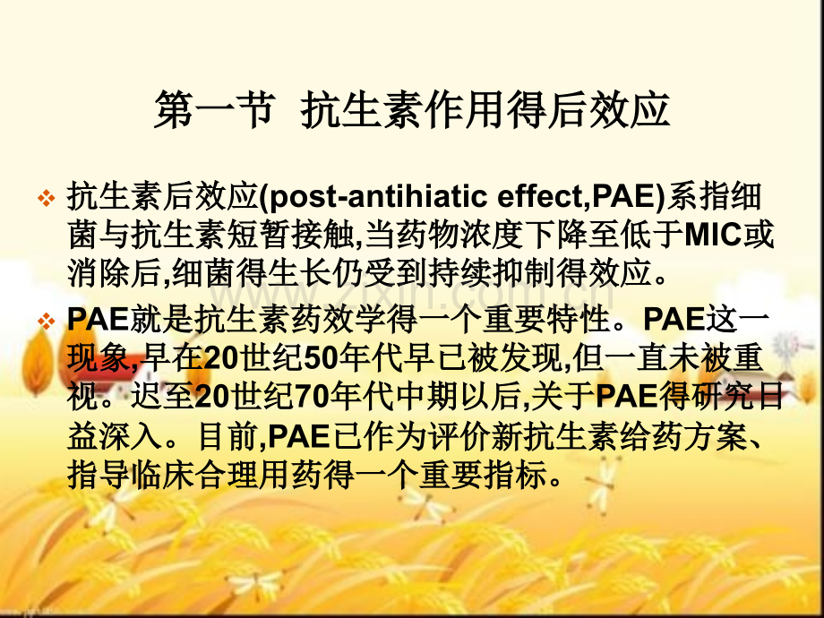 抗生素后效应与逆反效应.pptx_第2页