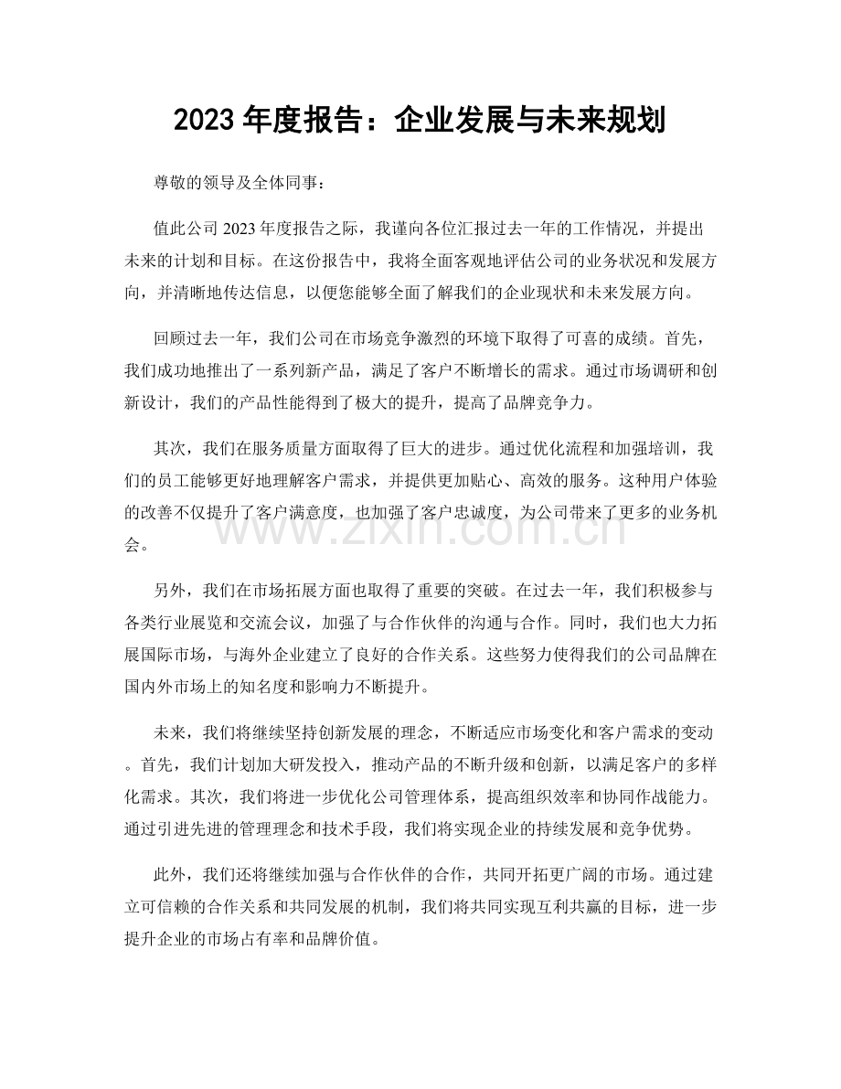 2023年度报告：企业发展与未来规划.docx_第1页