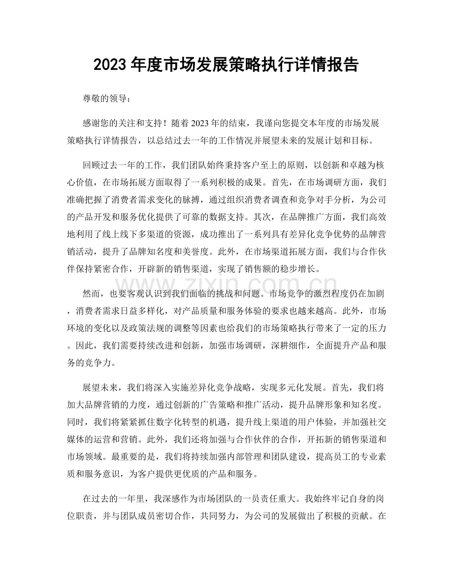 2023年度市场发展策略执行详情报告.docx_第1页