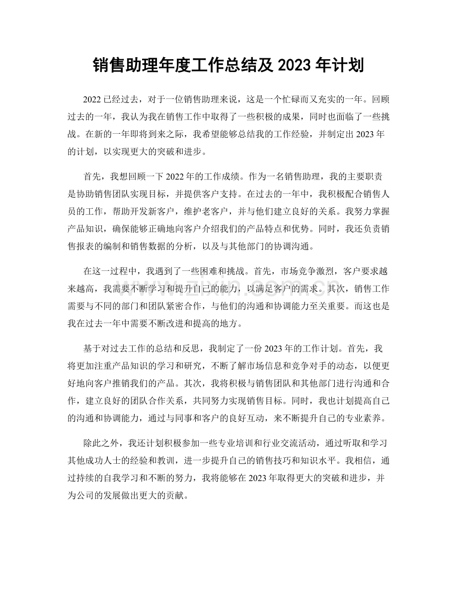 销售助理年度工作总结及2023年计划.docx_第1页