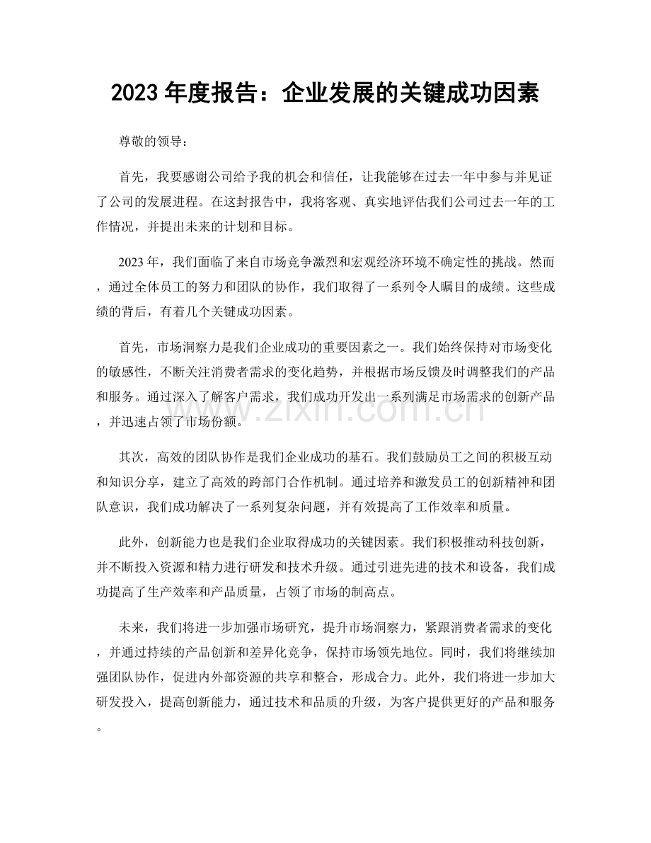 2023年度报告：企业发展的关键成功因素.docx_第1页