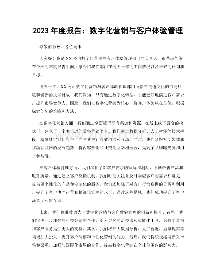 2023年度报告：数字化营销与客户体验管理.docx_第1页