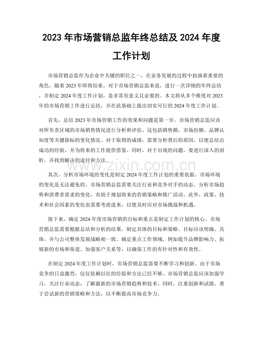 2023年市场营销总监年终总结及2024年度工作计划.docx_第1页