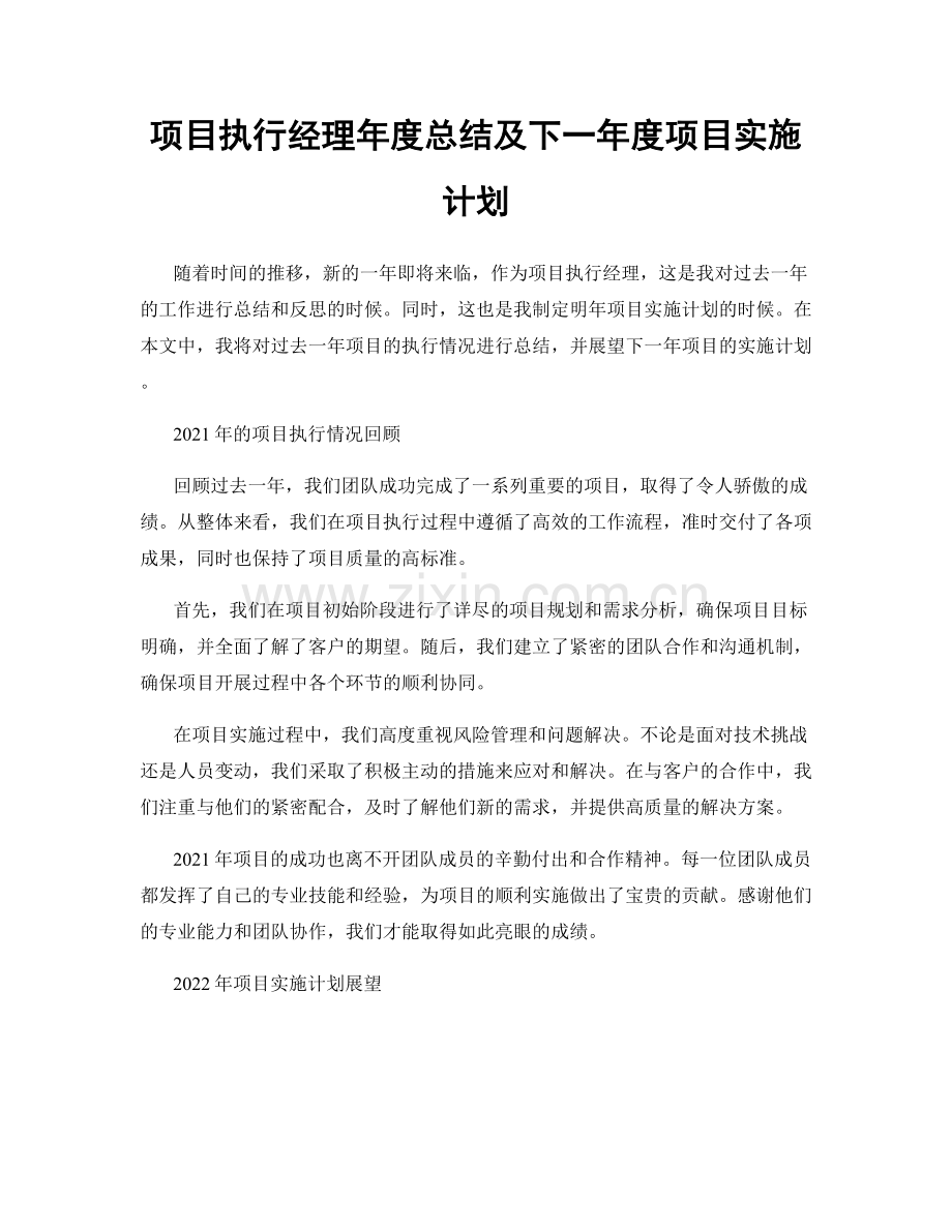 项目执行经理年度总结及下一年度项目实施计划.docx_第1页