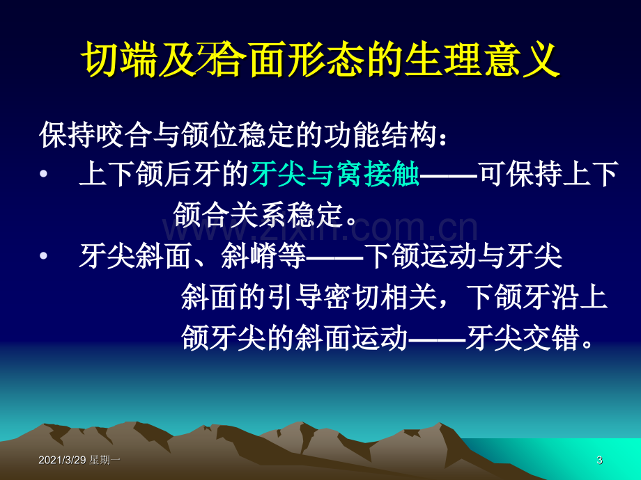 牙体形态的生理意义.ppt_第3页