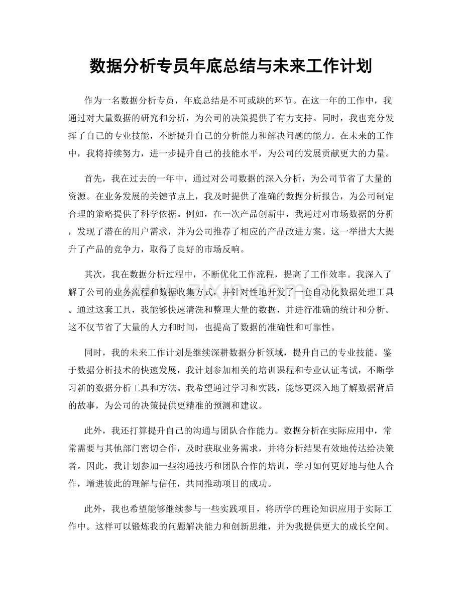 数据分析专员年底总结与未来工作计划.docx_第1页