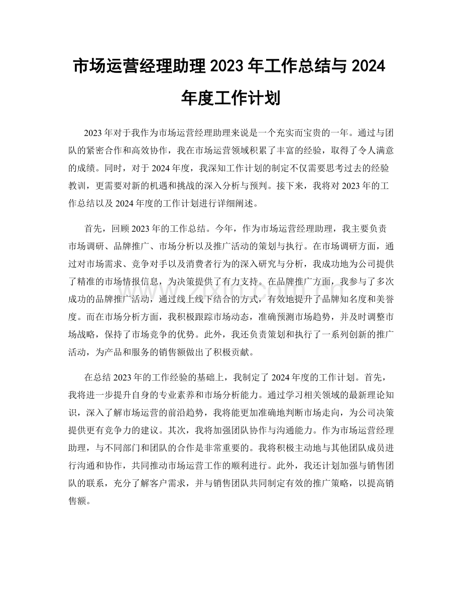 市场运营经理助理2023年工作总结与2024年度工作计划.docx_第1页