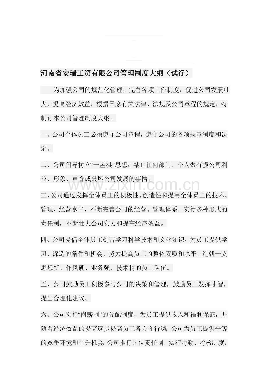 河南省安瑞工贸有限公司管理制度大纲.doc_第1页