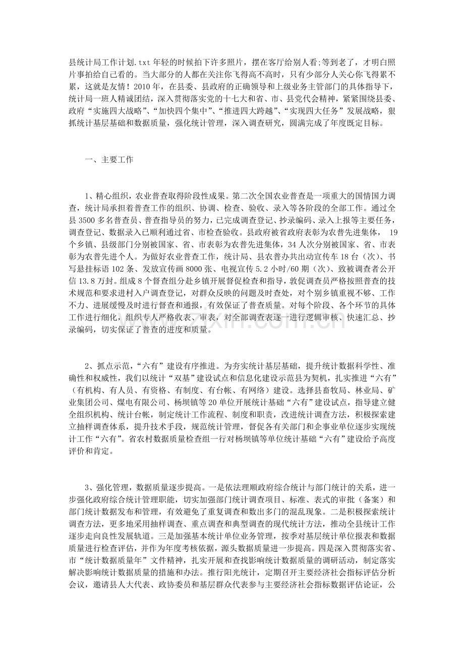 县统计局工作计划.doc_第1页