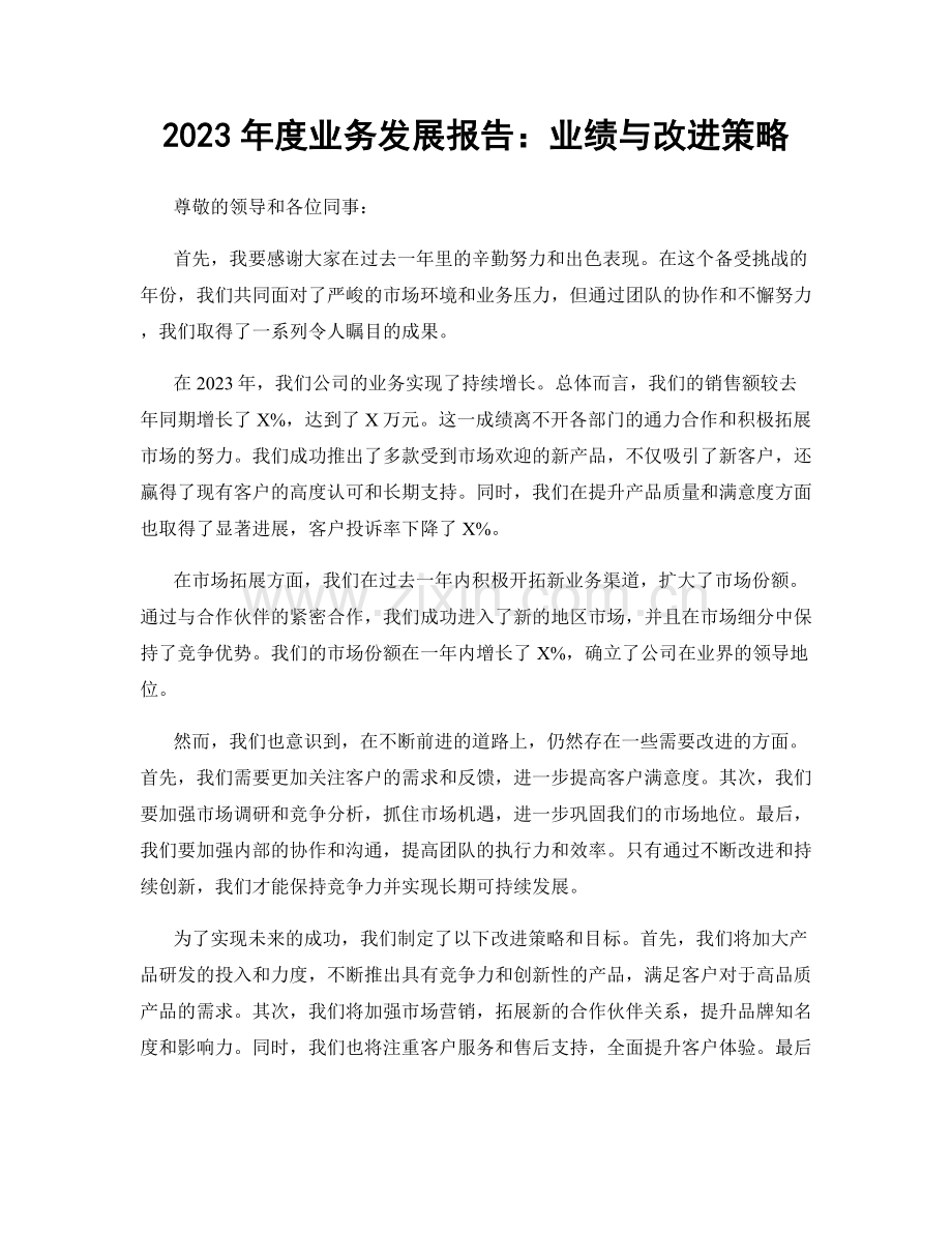 2023年度业务发展报告：业绩与改进策略.docx_第1页