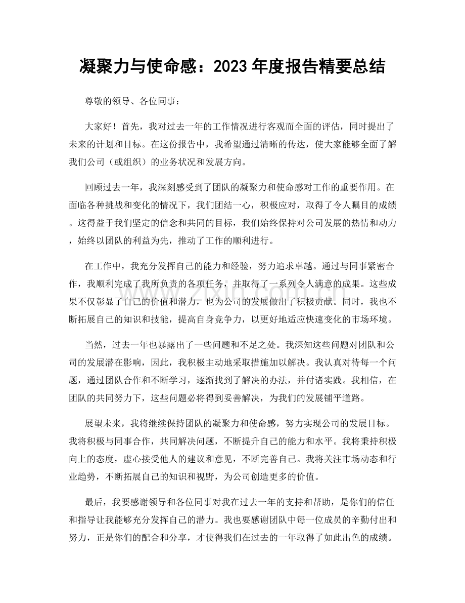 凝聚力与使命感：2023年度报告精要总结.docx_第1页