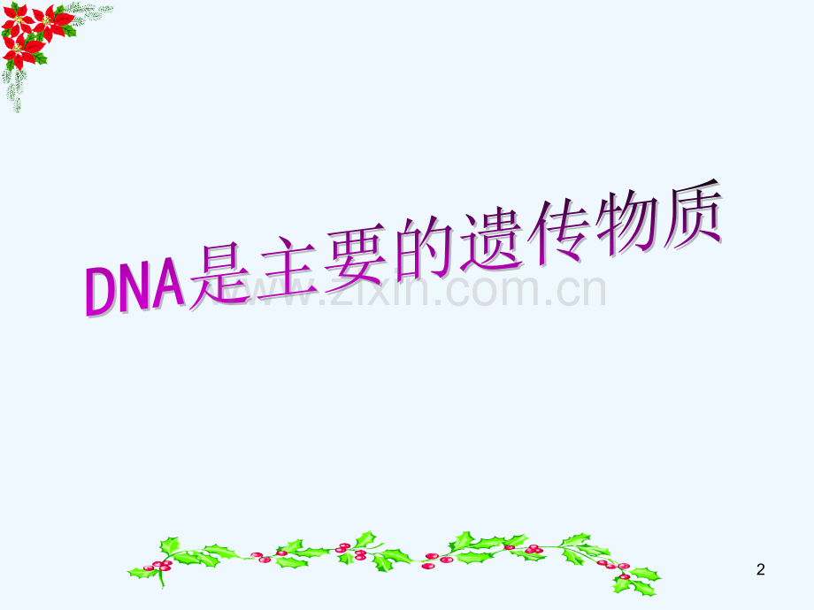 DNA是主要的遗传物质(优质课获奖作品)-PPT.ppt_第2页