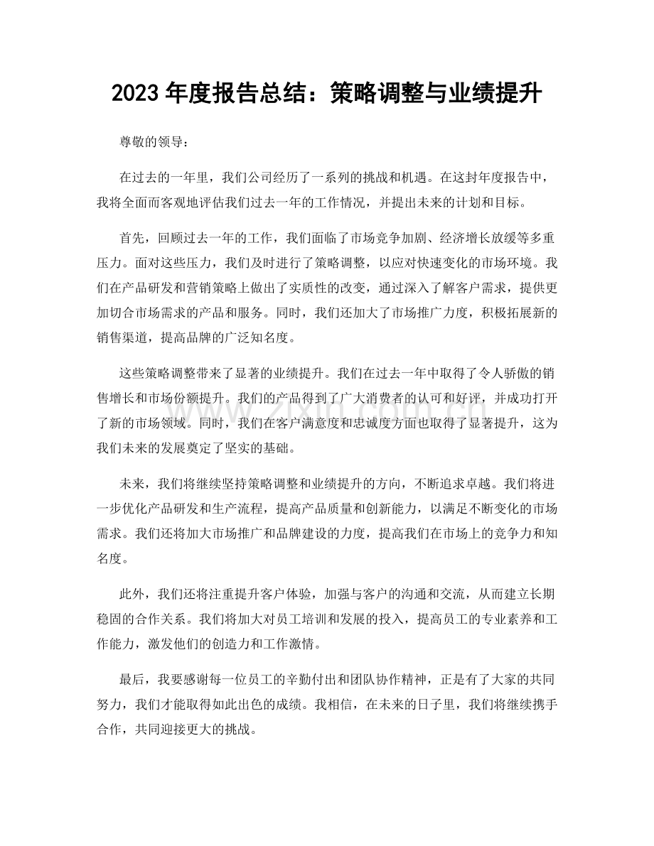 2023年度报告总结：策略调整与业绩提升.docx_第1页