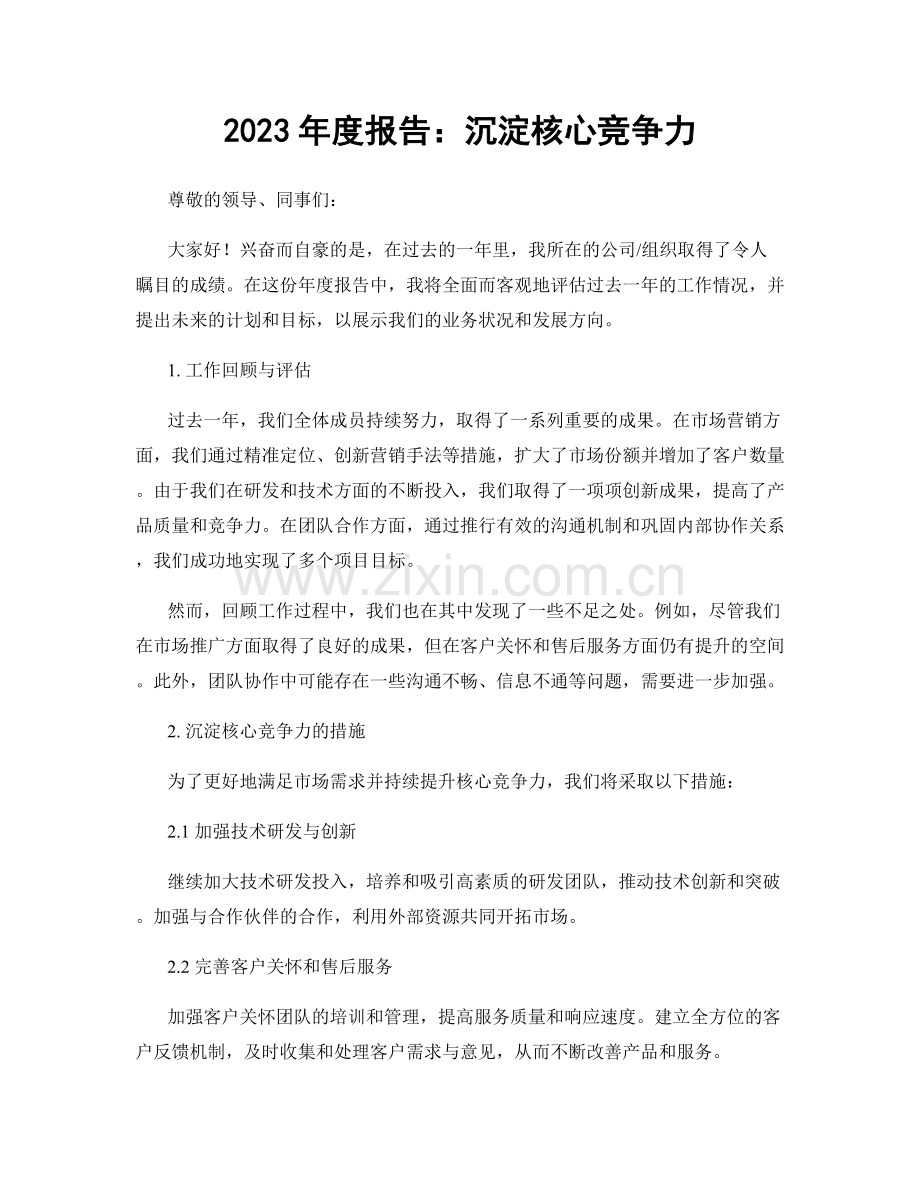 2023年度报告：沉淀核心竞争力.docx_第1页