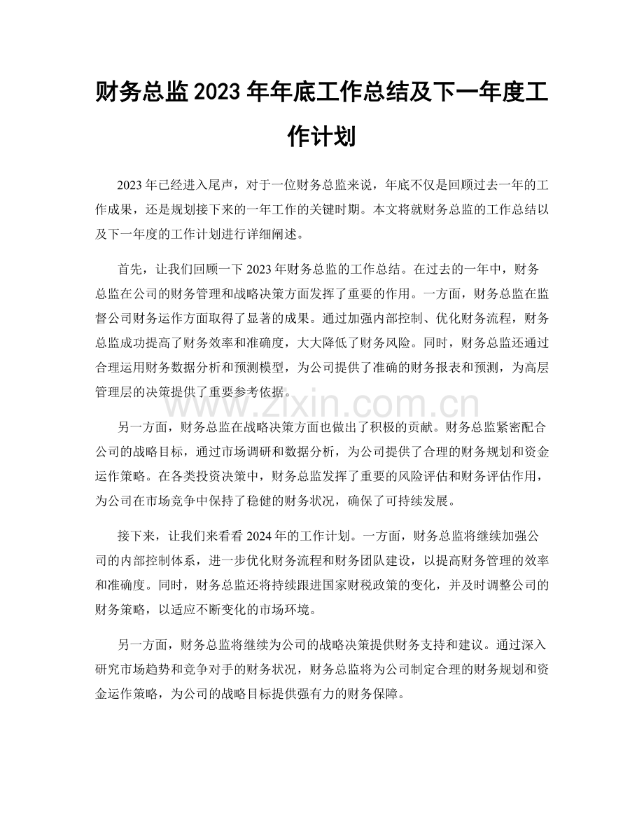 财务总监2023年年底工作总结及下一年度工作计划.docx_第1页