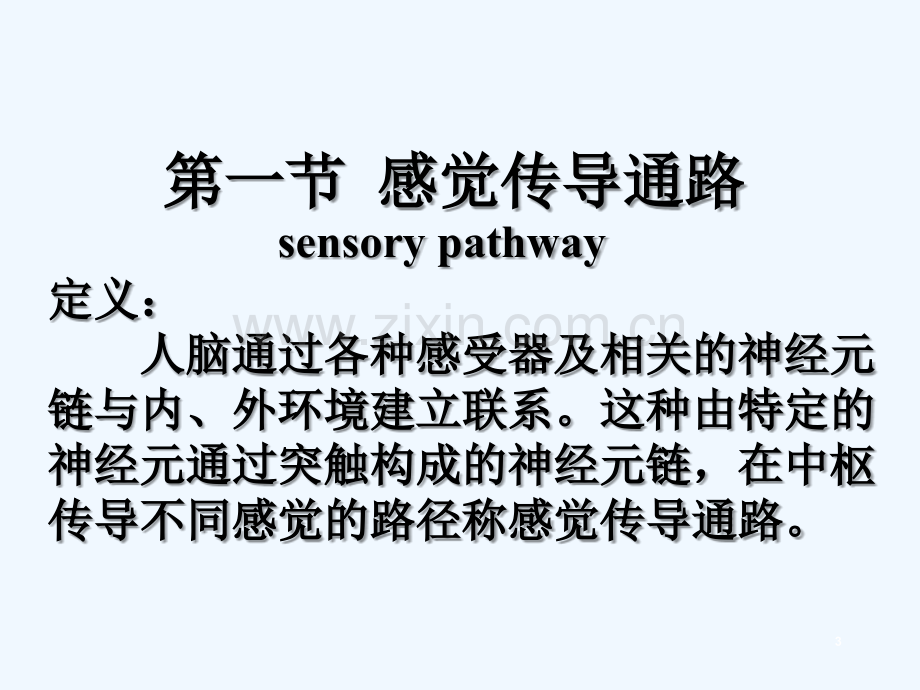 感觉传导通路-PPT.ppt_第3页