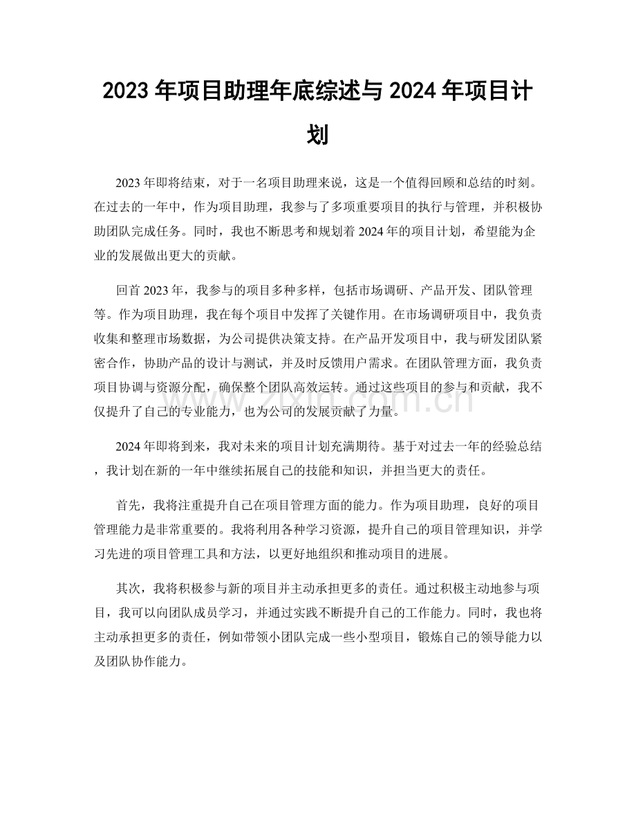 2023年项目助理年底综述与2024年项目计划.docx_第1页