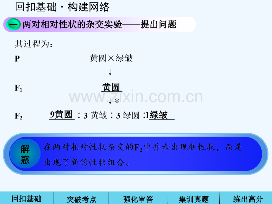 高三第一轮复习-孟德尔的豌豆杂交实验-PPT.ppt_第2页