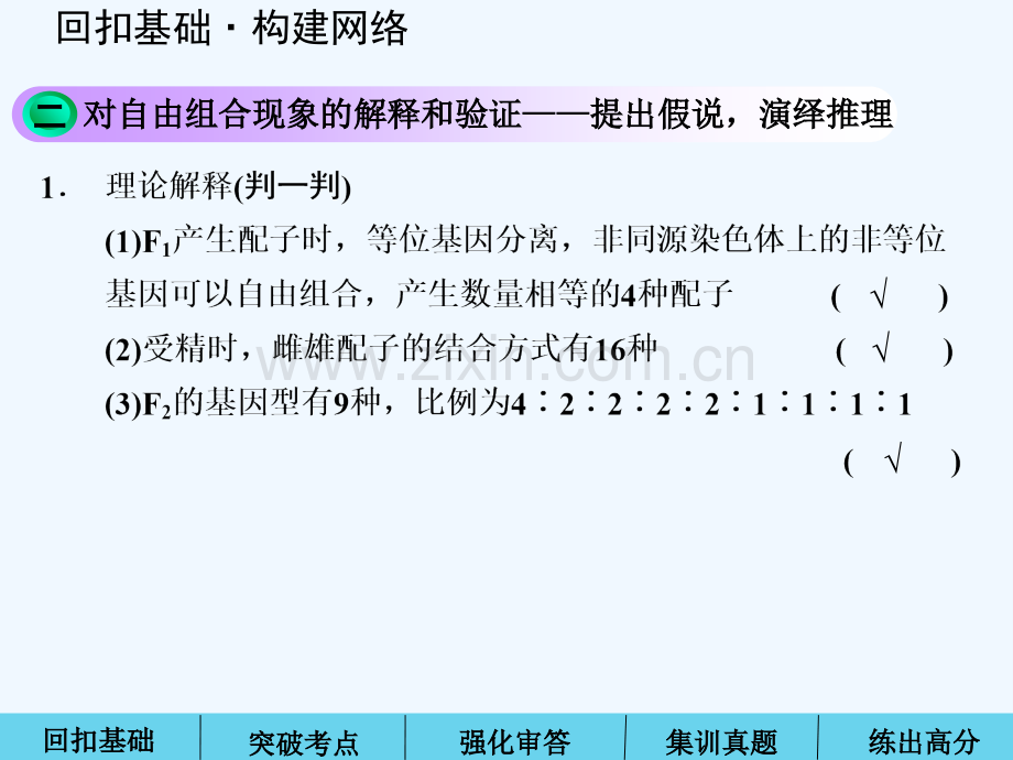 高三第一轮复习-孟德尔的豌豆杂交实验-PPT.ppt_第3页