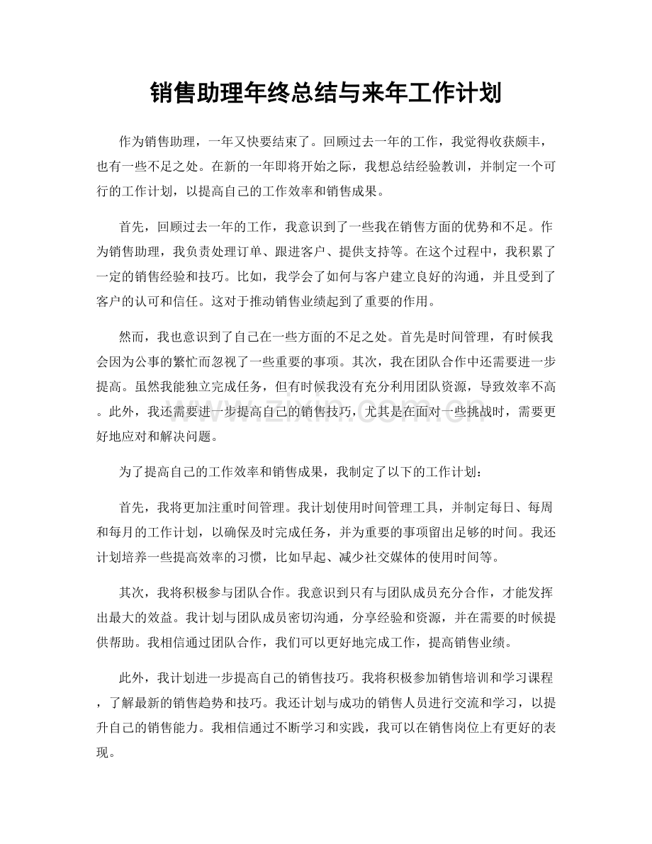 销售助理年终总结与来年工作计划.docx_第1页