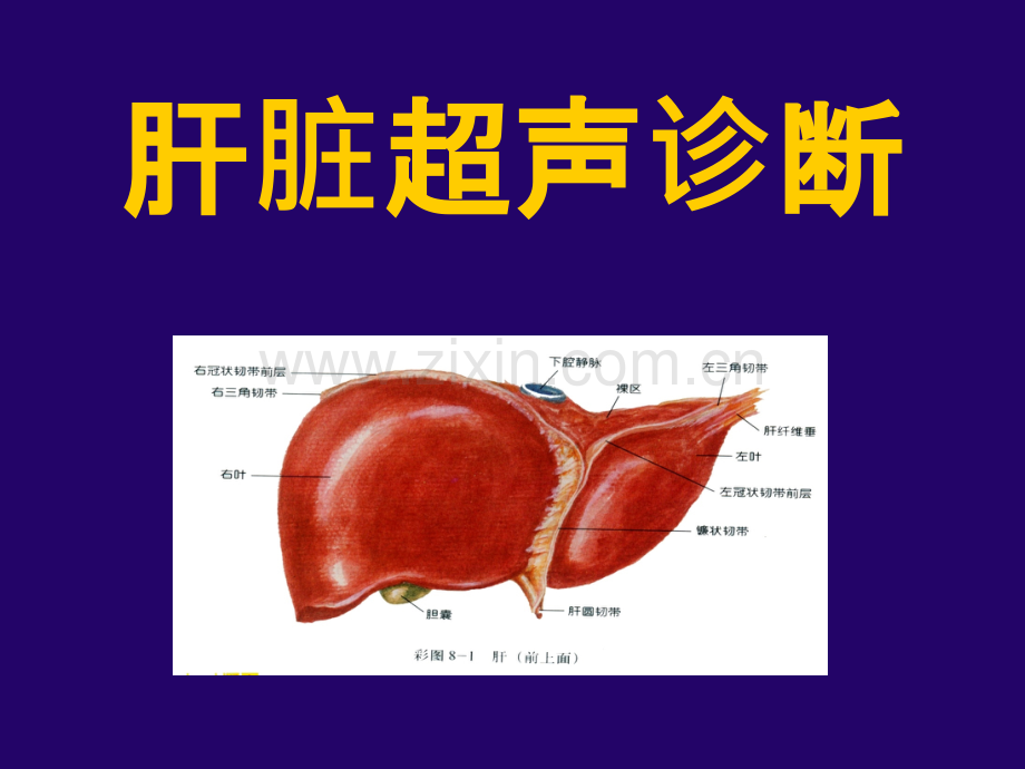 腹部超声诊断学课件-修改2.ppt_第3页