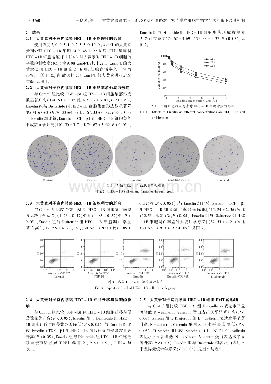 大黄素通过TGF-β1_SMAD4通路对子宫内膜癌细胞生物学行为的影响及其机制.pdf_第3页