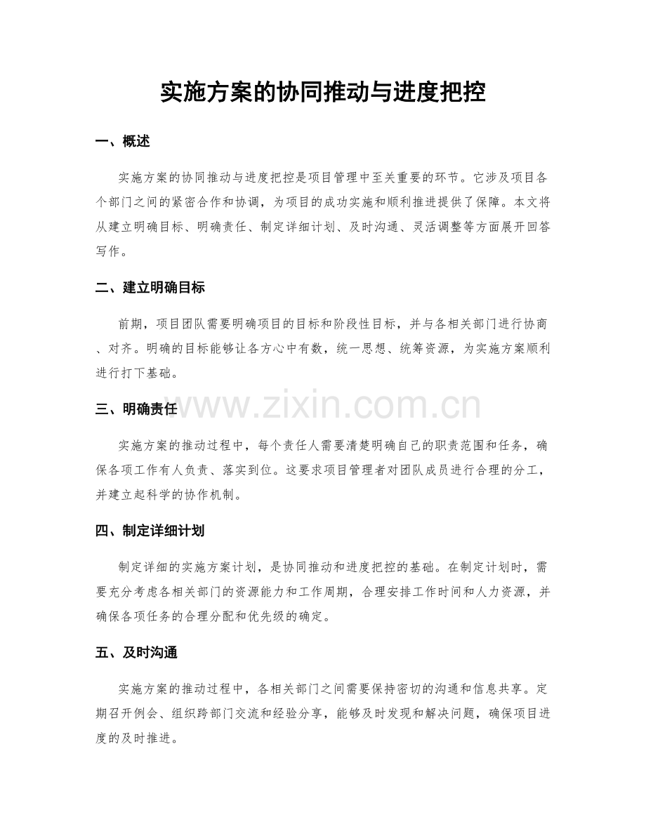 实施方案的协同推动与进度把控.docx_第1页