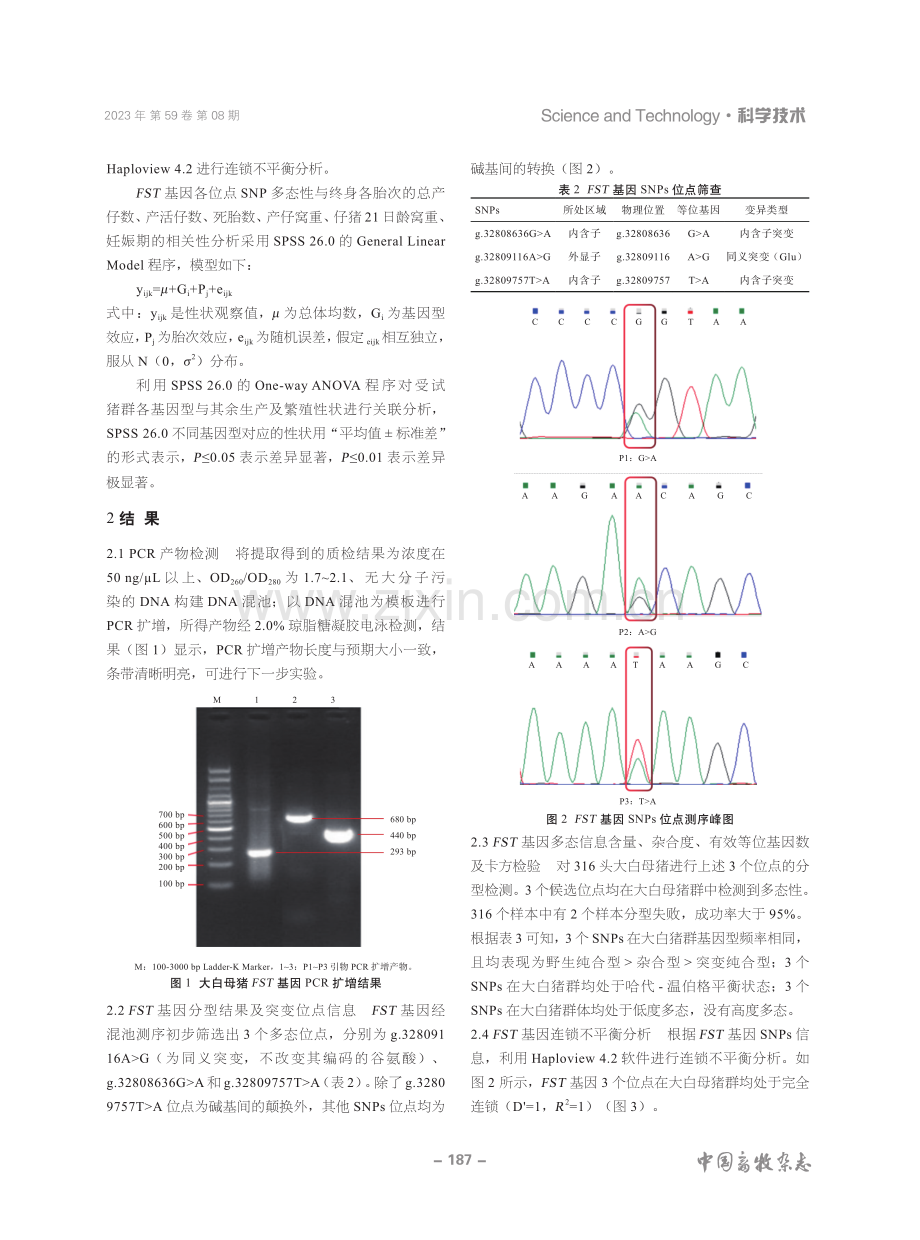 大白猪FST基因多态性与生长和繁殖性状的关联分析.pdf_第3页