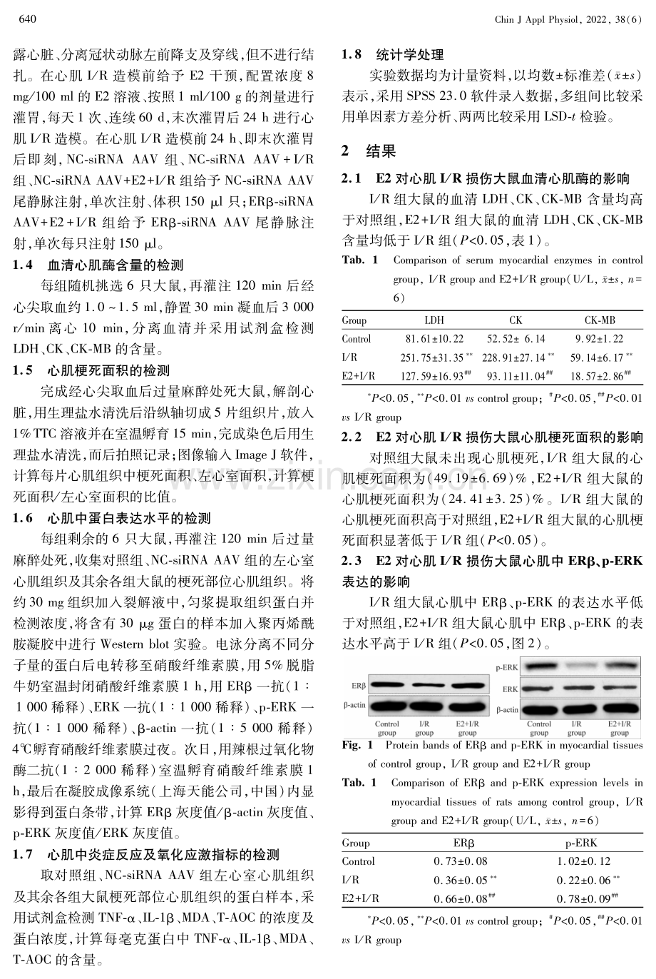 雌二醇对大鼠心肌缺血_再灌注损伤的干预作用及其机制.pdf_第3页