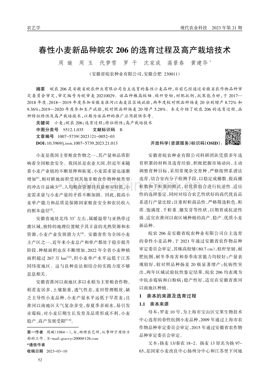 春性小麦新品种皖农206的选育过程及高产栽培技术.pdf_第1页