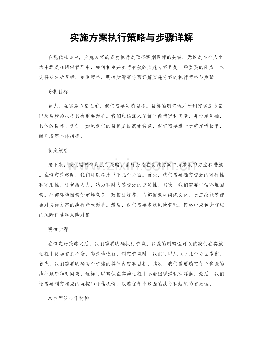 实施方案执行策略与步骤详解.docx_第1页