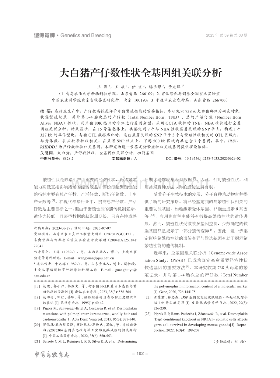 大白猪产仔数性状全基因组关联分析.pdf_第1页