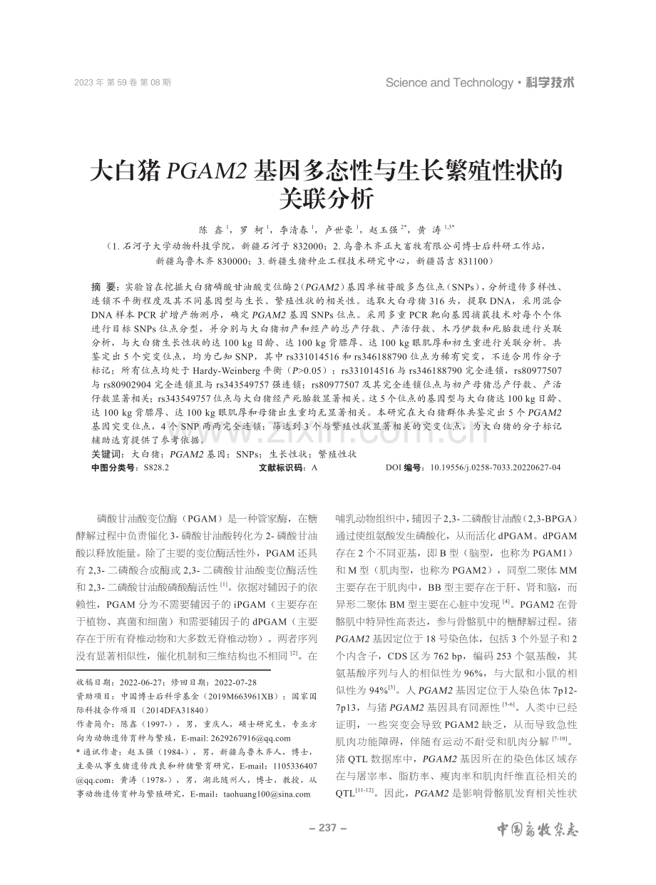 大白猪PGAM2基因多态性与生长繁殖性状的关联分析 (1).pdf_第1页