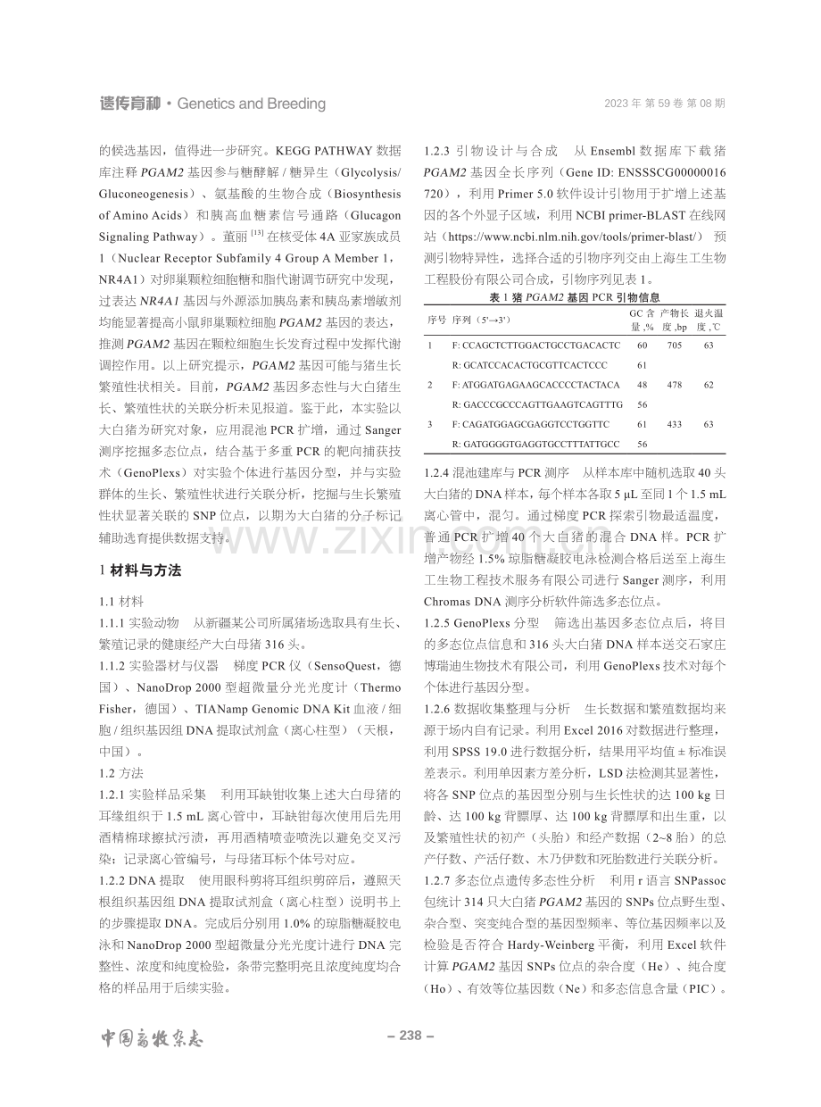 大白猪PGAM2基因多态性与生长繁殖性状的关联分析 (1).pdf_第2页