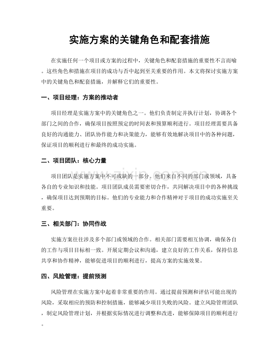 实施方案的关键角色和配套措施.docx_第1页