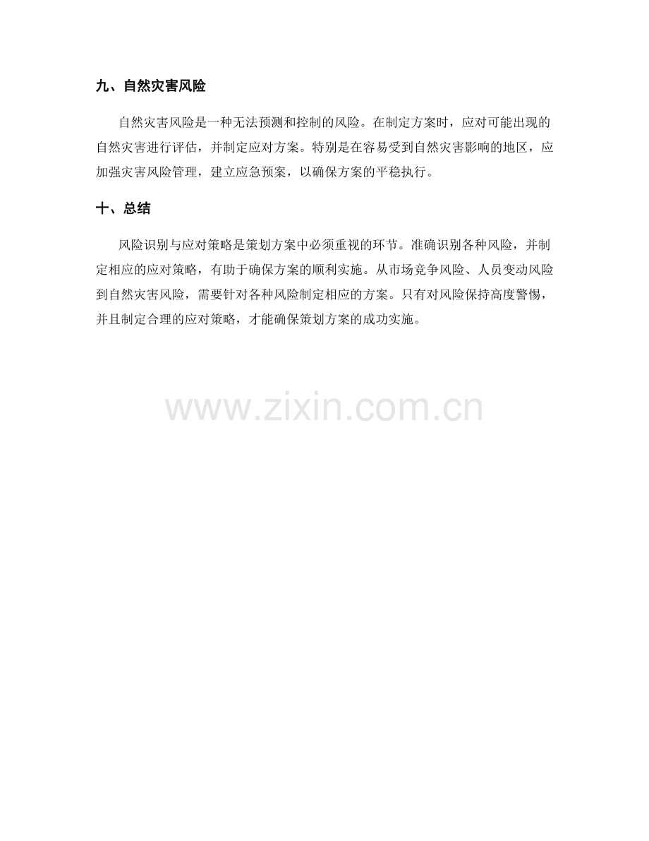 策划方案中的风险识别与应对策略.docx_第3页