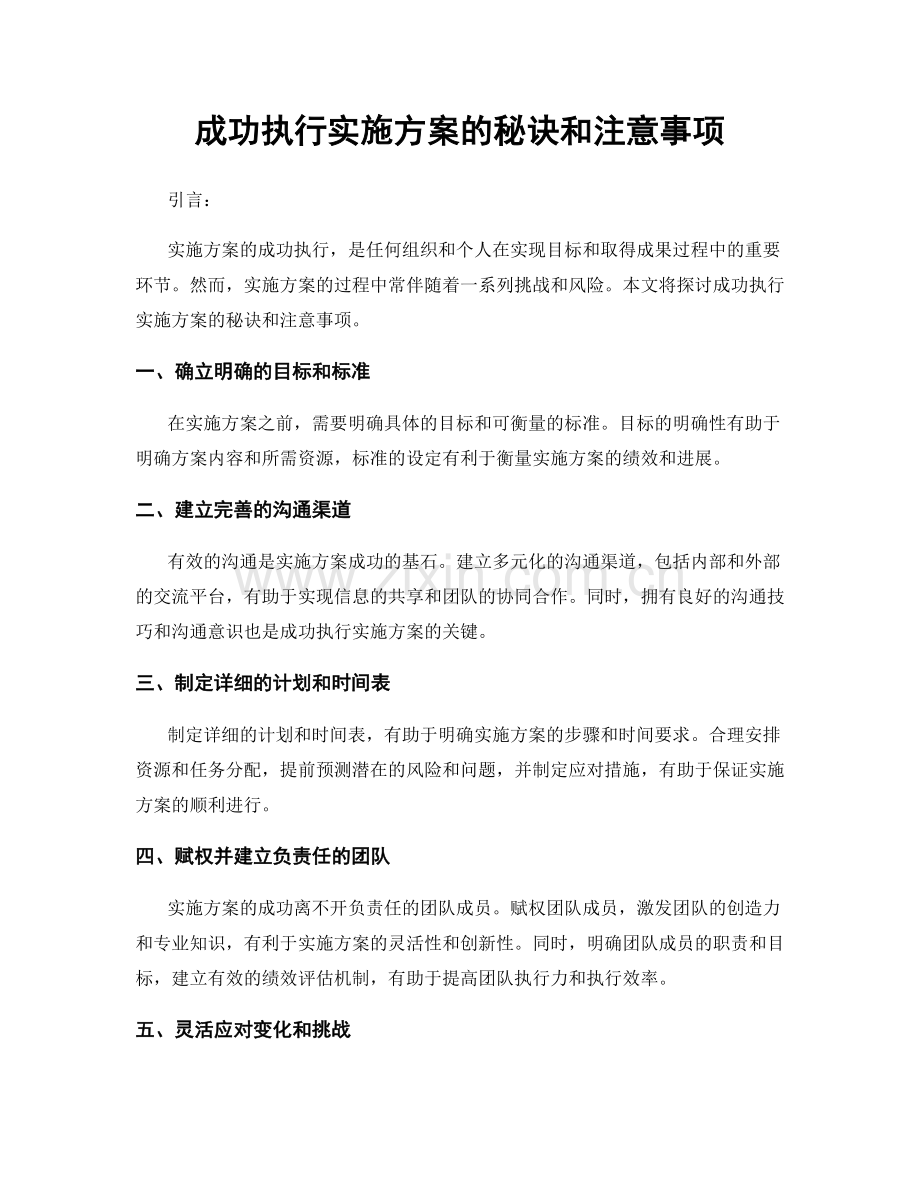 成功执行实施方案的秘诀和注意事项.docx_第1页